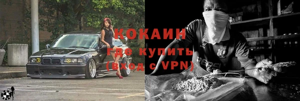 индика Киреевск