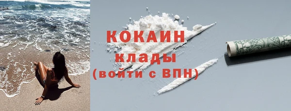 индика Киреевск