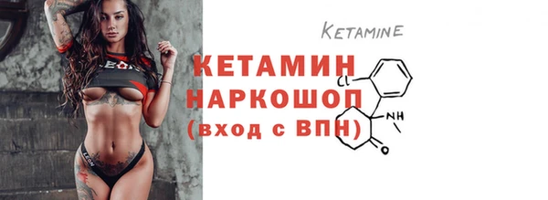 индика Киреевск