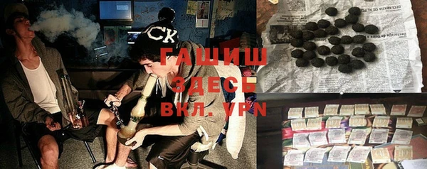 индика Киреевск