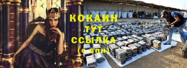 индика Киреевск
