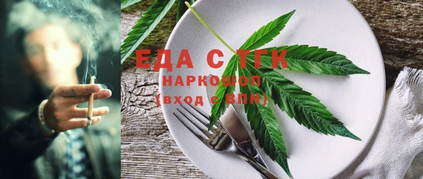 индика Киреевск