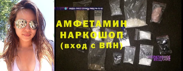 индика Киреевск