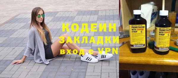 индика Киреевск