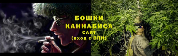 индика Киреевск