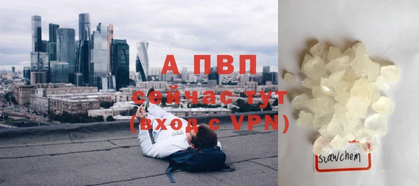индика Киреевск