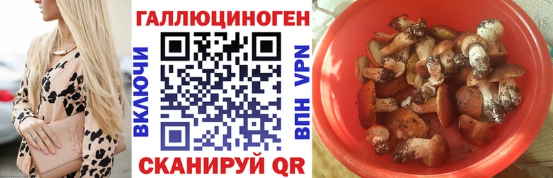 гидра   Чадан  Галлюциногенные грибы MAGIC MUSHROOMS 