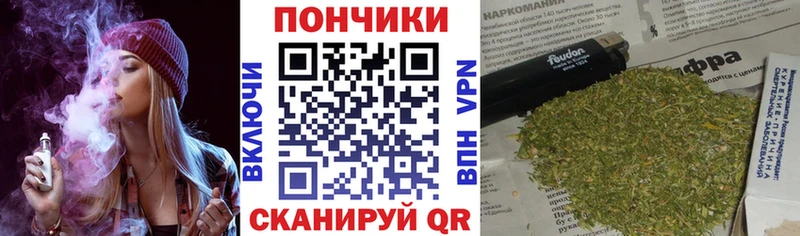 где можно купить наркотик  Чадан  Конопля ГИДРОПОН 